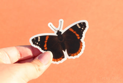 The red admiral butterfly clear vinyl sticker with the white paper backing still on.