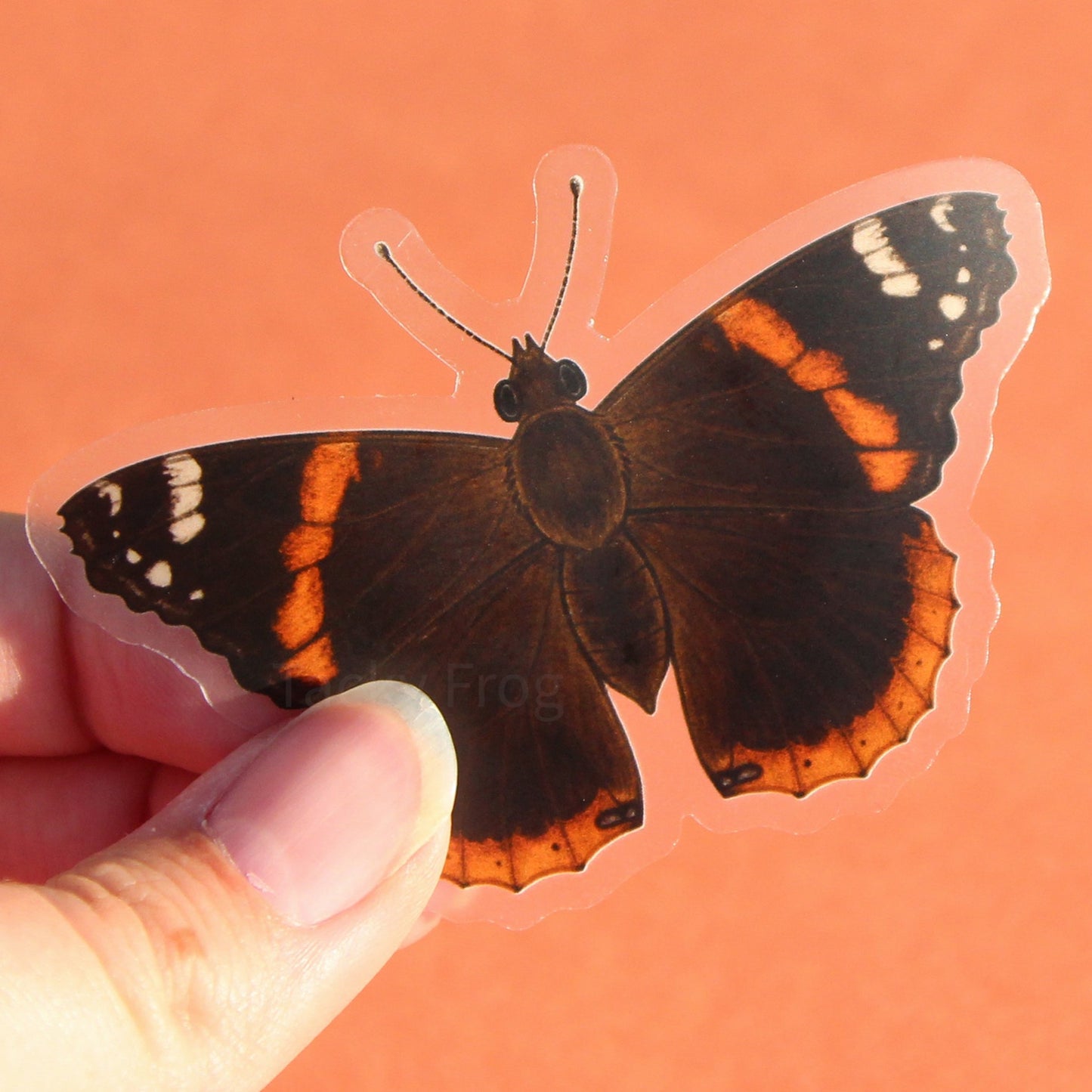 A clear vinyl sticker of a red admiral butterfly.