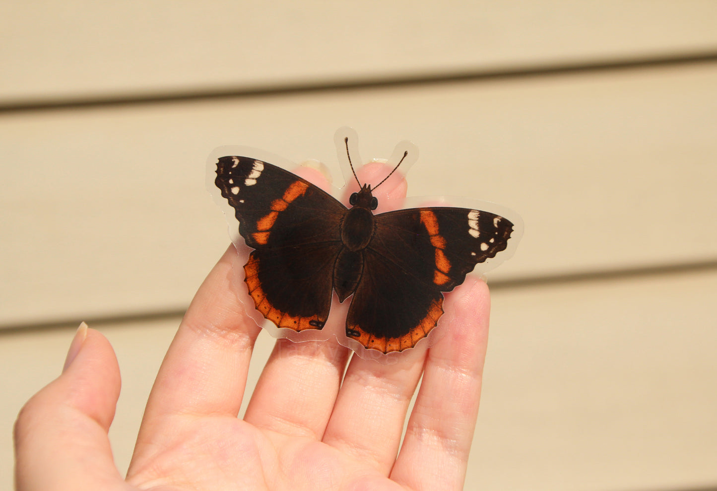 Another view of the red admiral butterfly clear vinyl sticker.