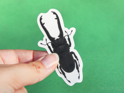 The stag beetle clear vinyl sticker with the white paper backing still on.