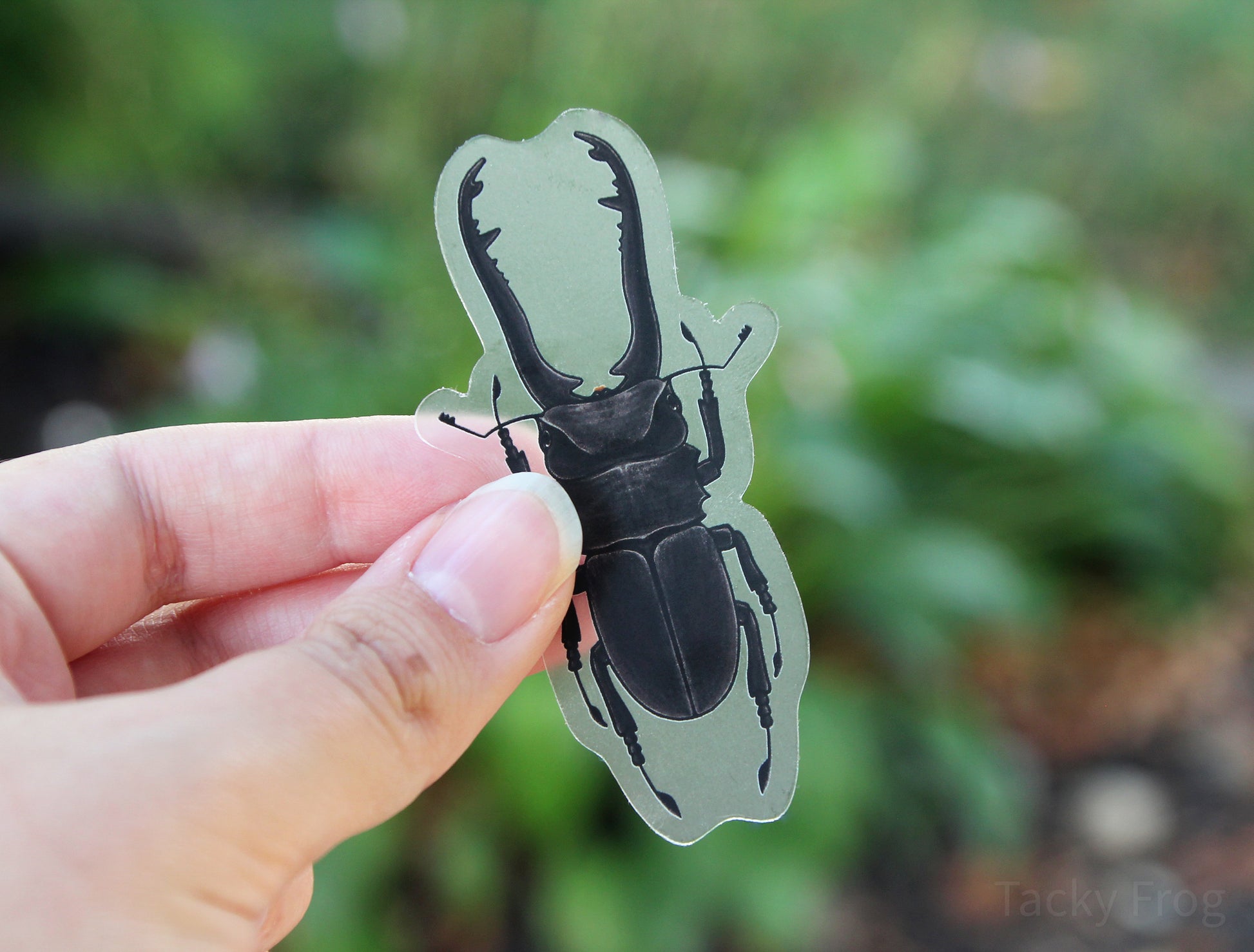 Another view of the clear vinyl sticker of a stag beetle.