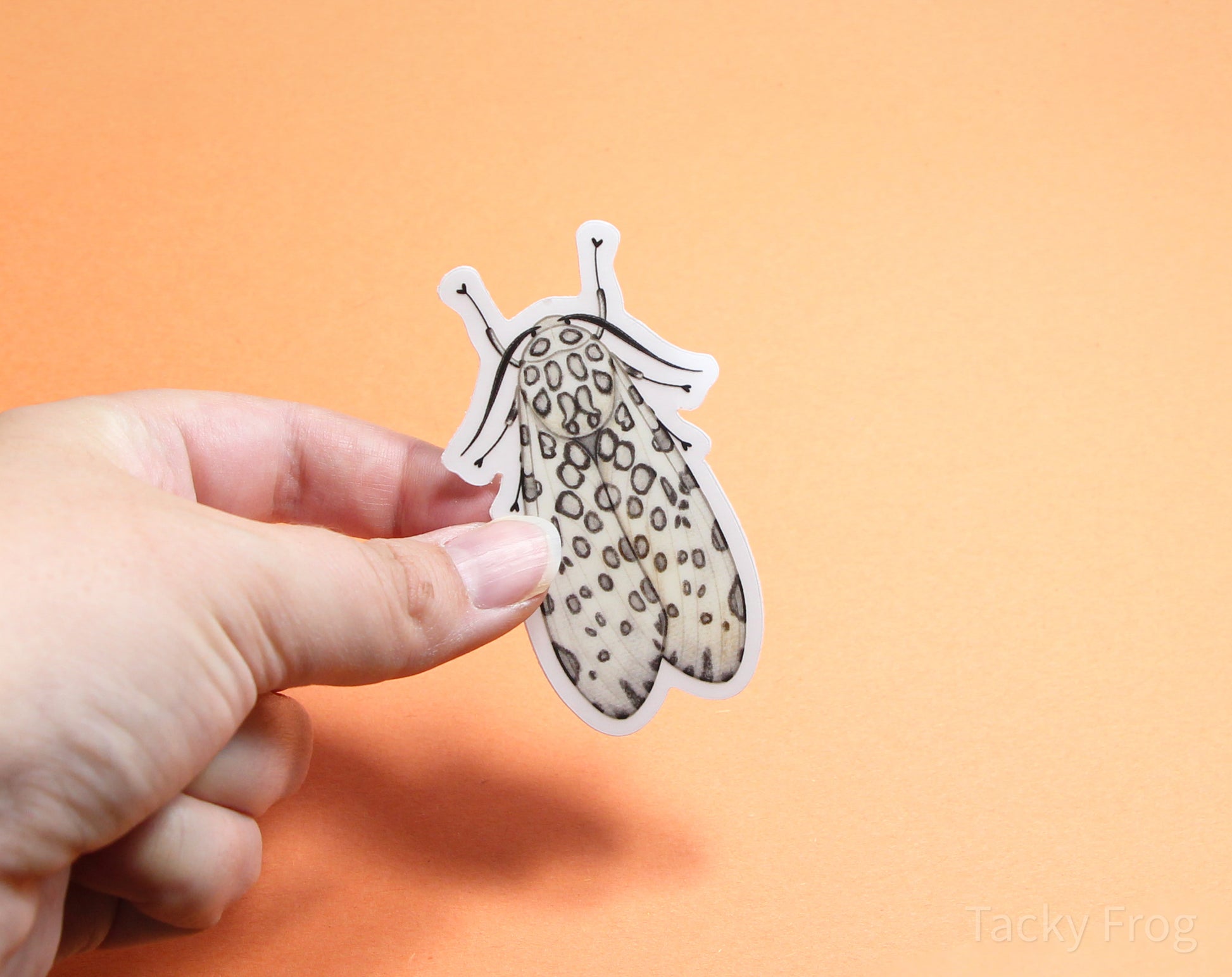 The leopard moth clear vinyl sticker with the white paper backing still on.