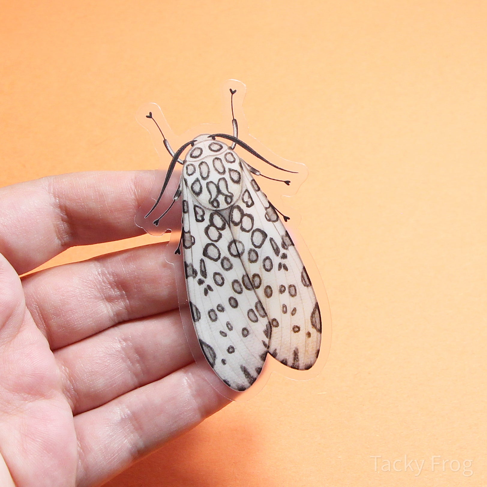 A clear vinyl sticker of a leopard moth.