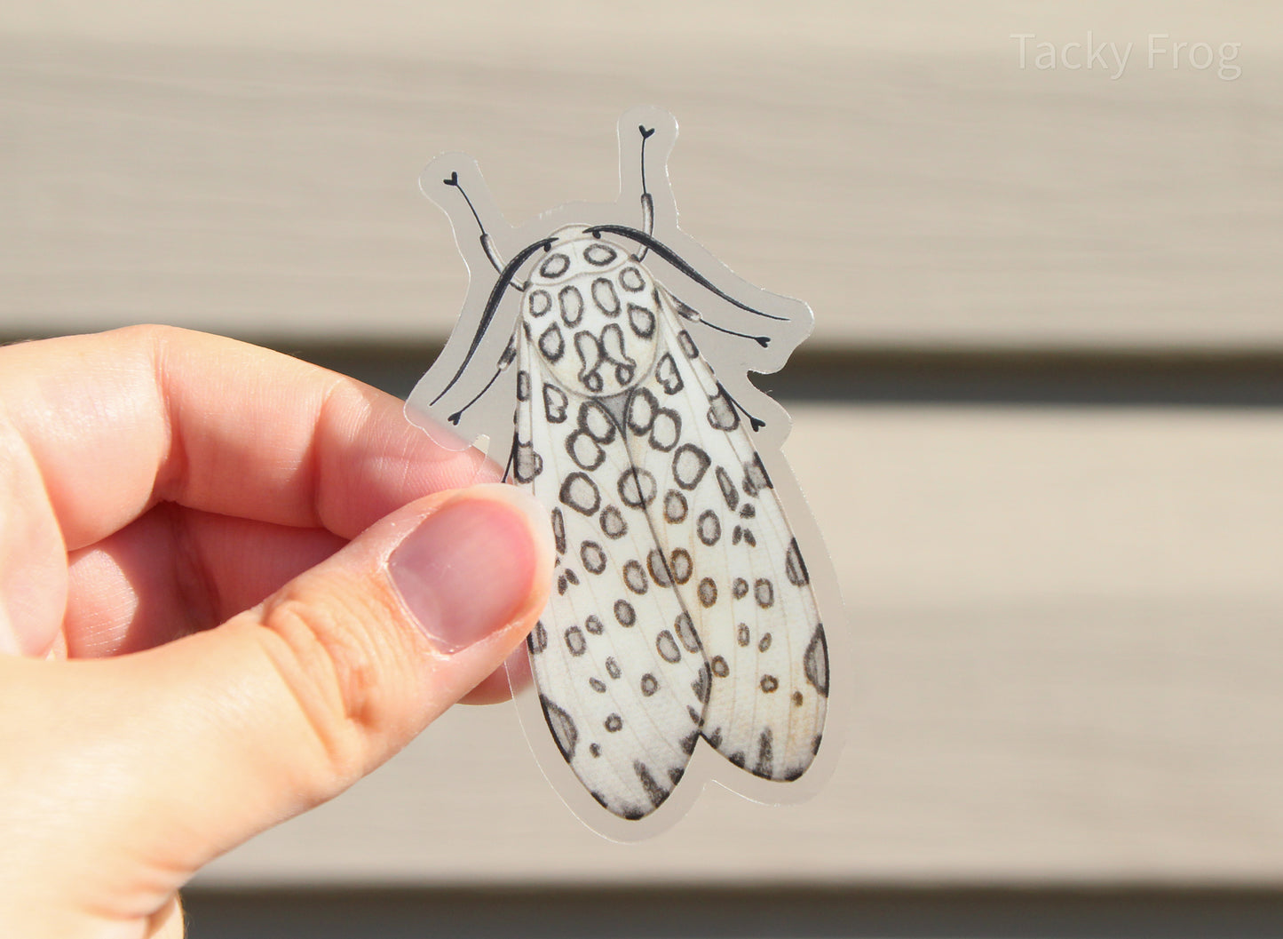 Another view of the leopard moth clear vinyl sticker.