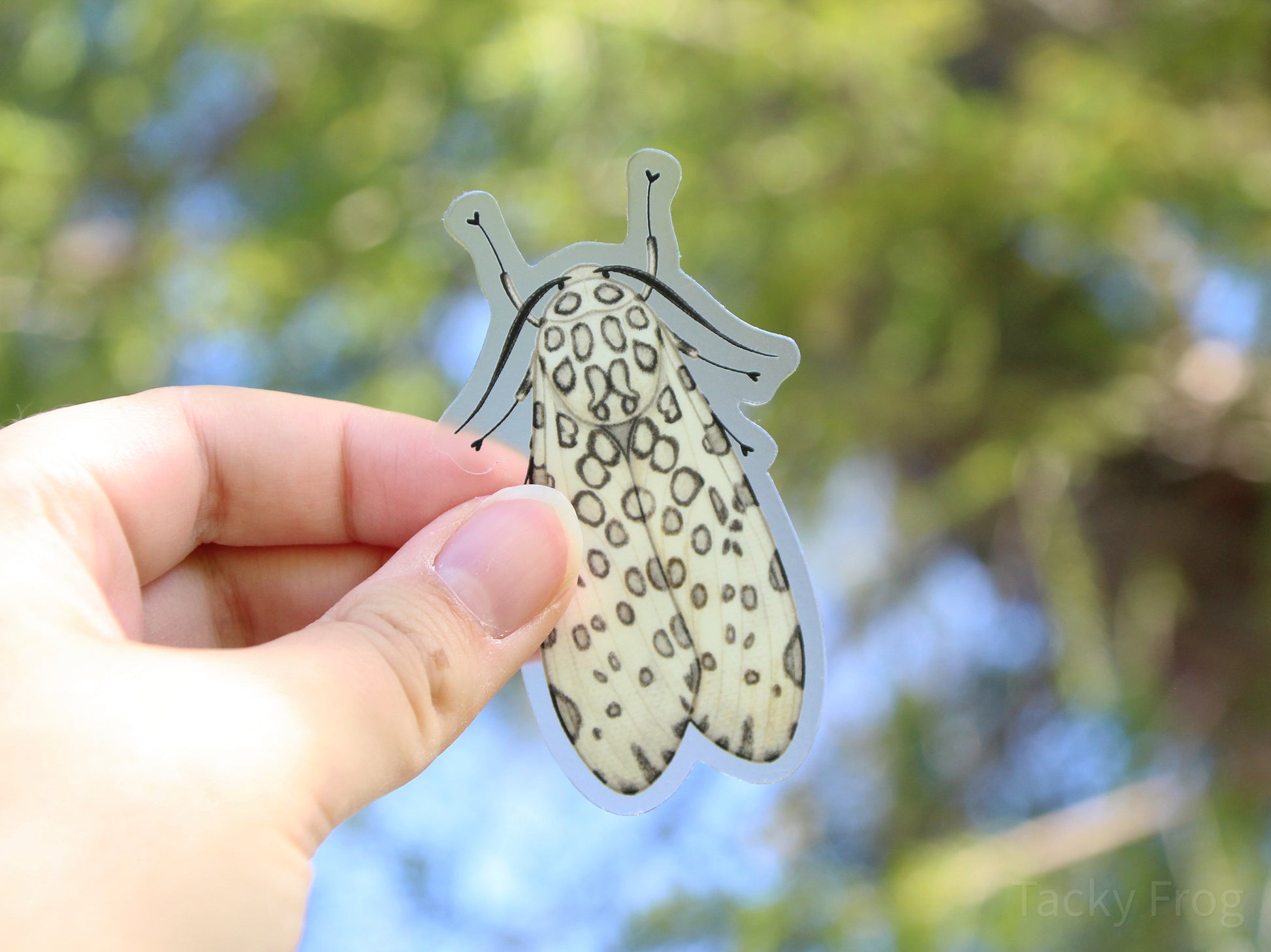 The leopard moth clear vinyl sticker held up in front of a tree.