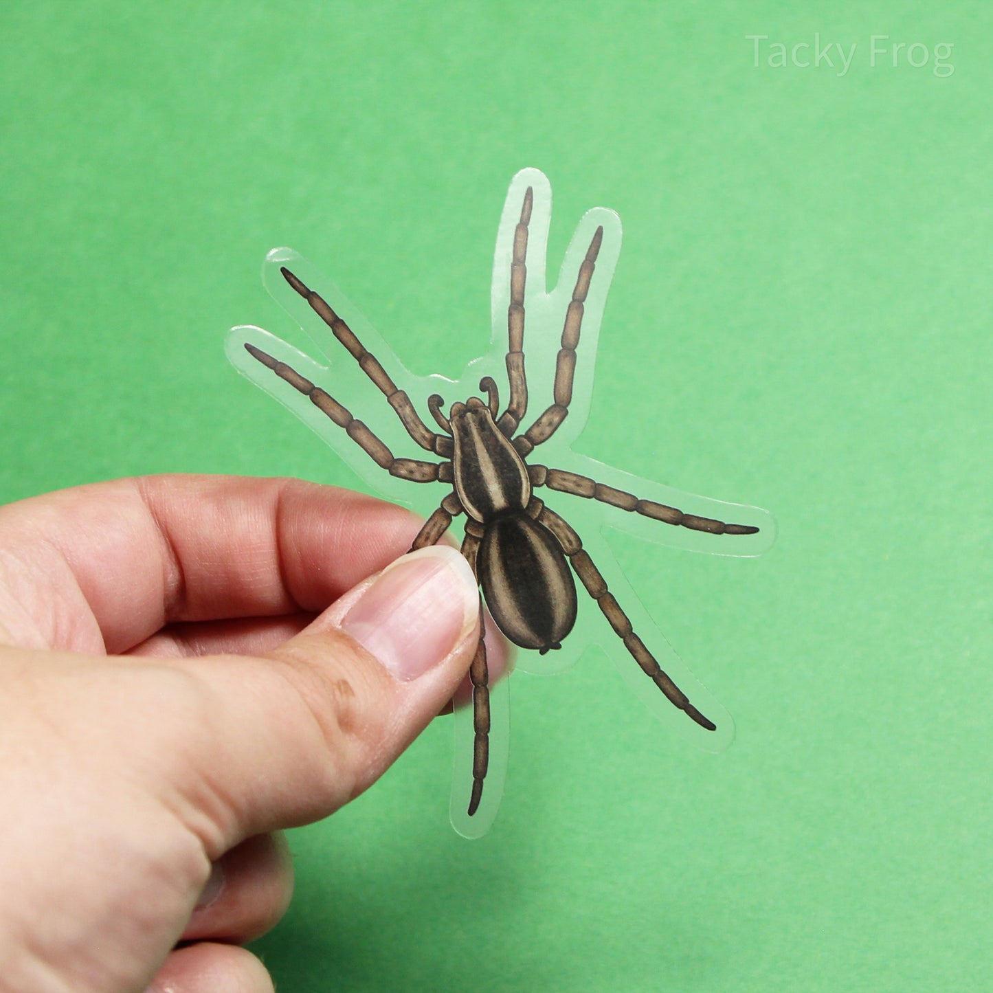 A clear vinyl sticker of a brown wolf spider.