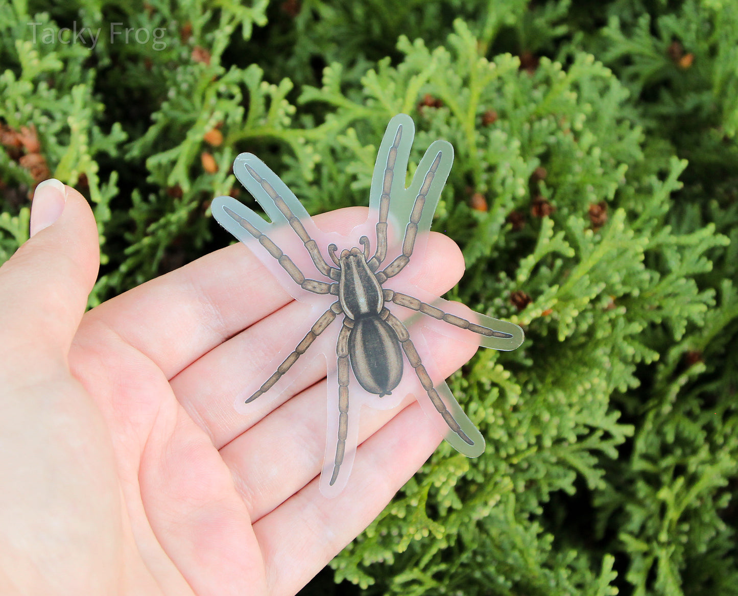 The brown wolf spider clear vinyl sticker held in front of a bush.