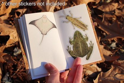 The clear vinyl sticker of a grasshopper placed inside of a notebook next to stickers of a stingray and a bullfrog.