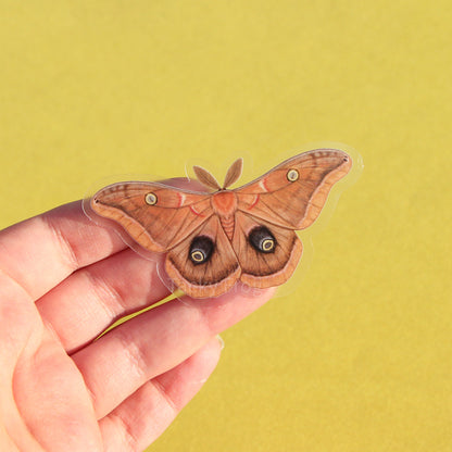 A clear vinyl sticker of a Polyphemus moth.