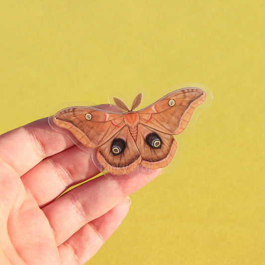 A clear vinyl sticker of a Polyphemus moth.