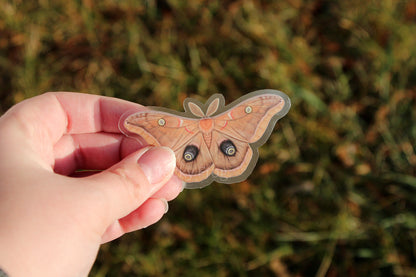 The Polyphemus moth clear vinyl sticker held over the grass.