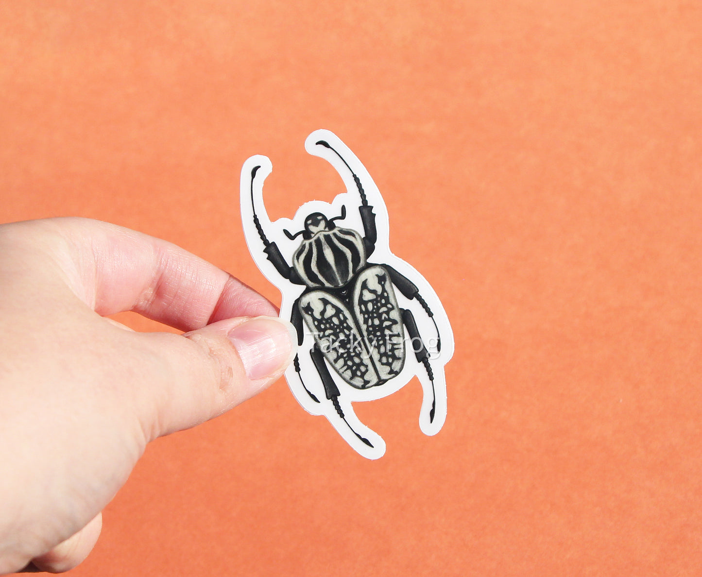 The black and white Goliath beetle sticker with the white paper backing still on.