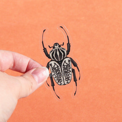 A clear vinyl sticker of a black-and-white female Goliath beetle.