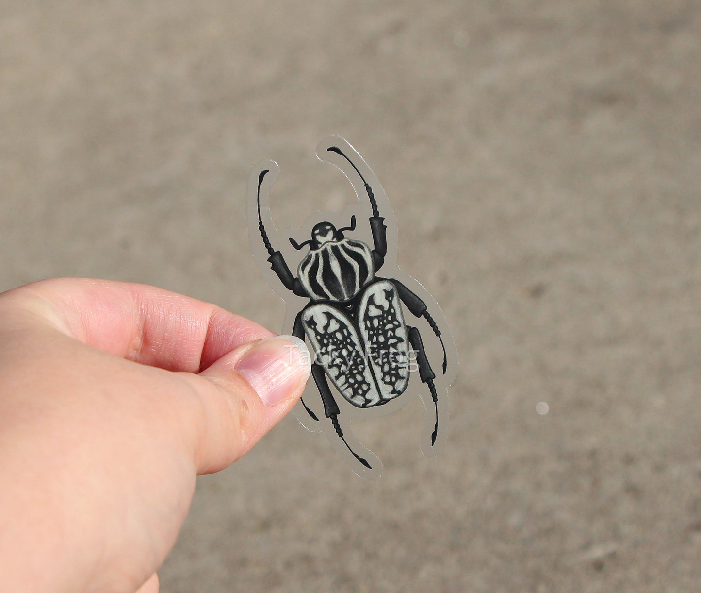 Another view of the black-and-white Goliath beetle sticker.