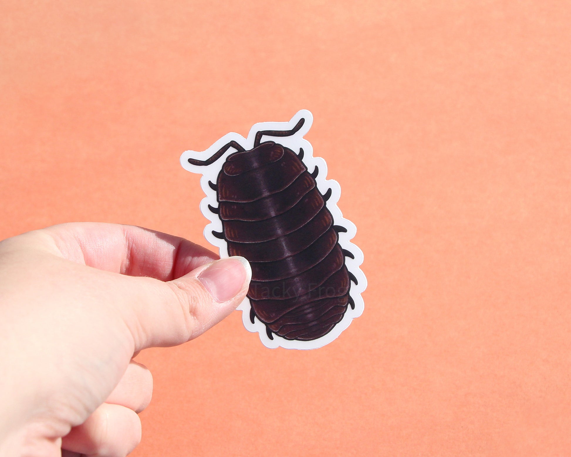 The pill bug clear vinyl sticker with the white paper backing still on.