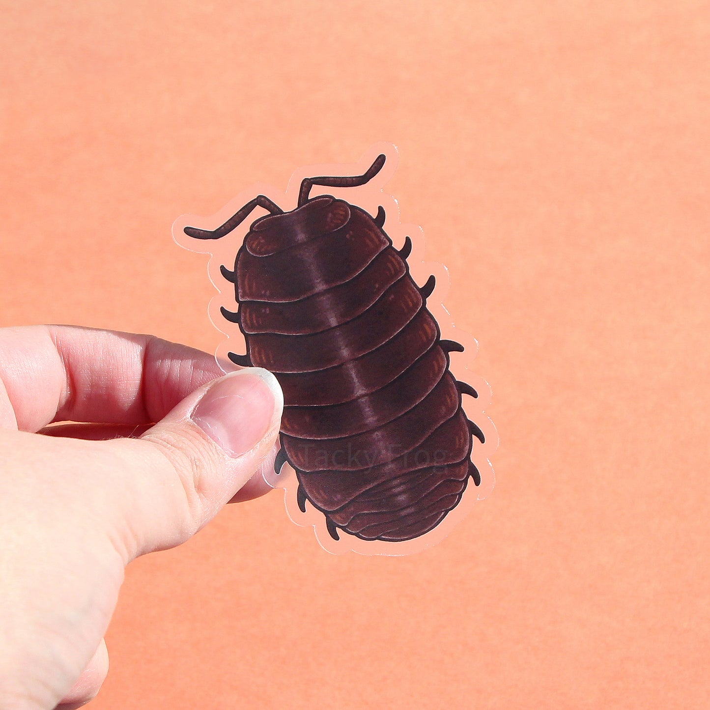 A clear vinyl sticker of a pill bug, this time against an orange background.