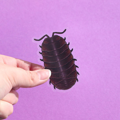 A clear vinyl sticker of a pill bug.