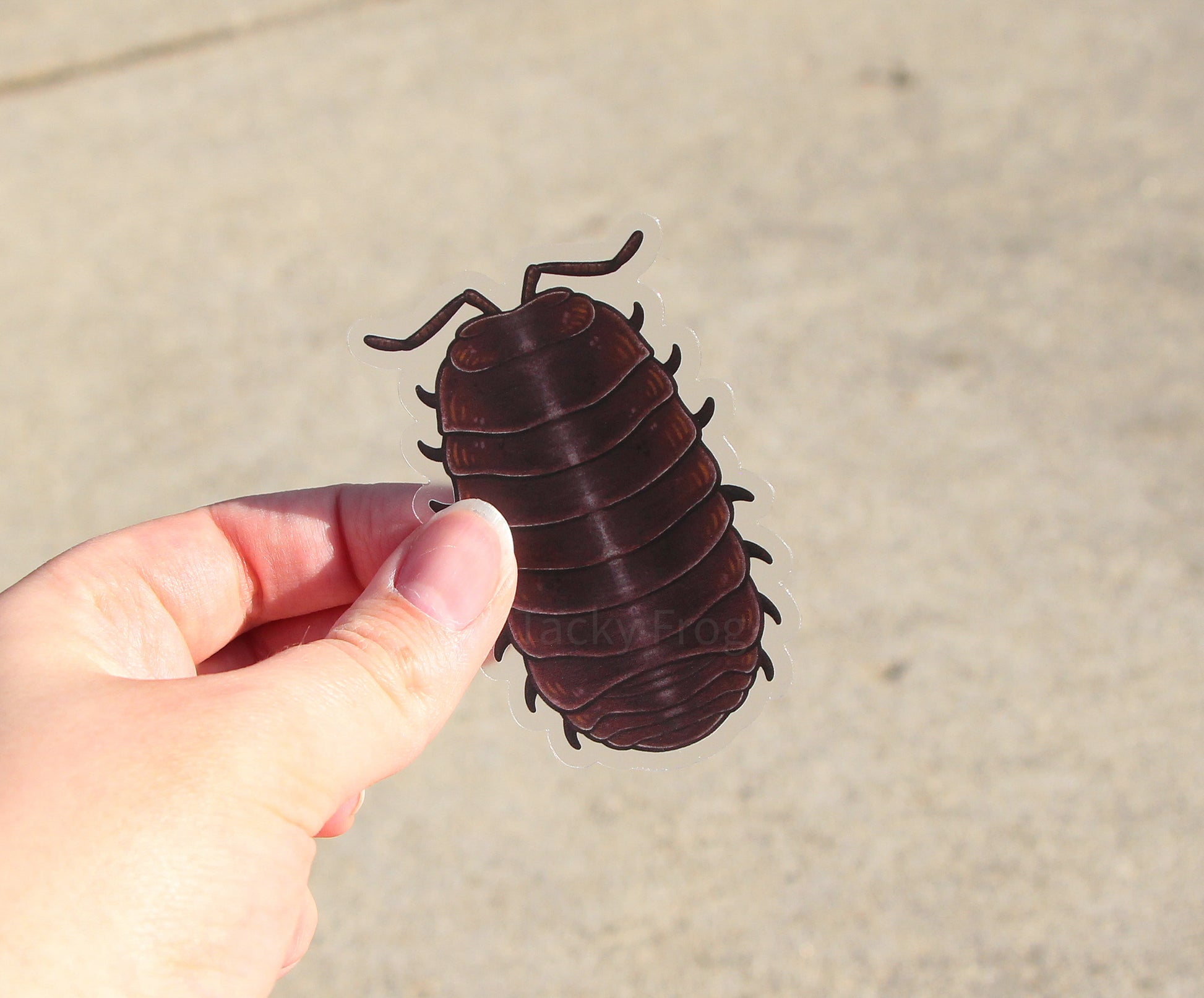 The pill bug clear vinyl sticker held over a concrete walkway.