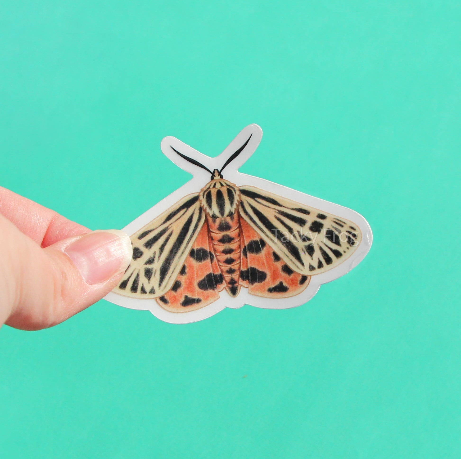 The tiger moth clear vinyl sticker with the white paper backing still on.