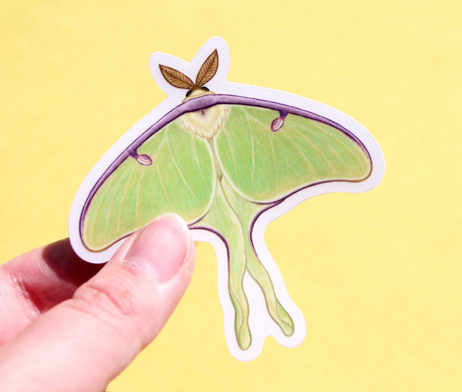 Clear vinyl sticker of a luna moth with the white paper backing still on.