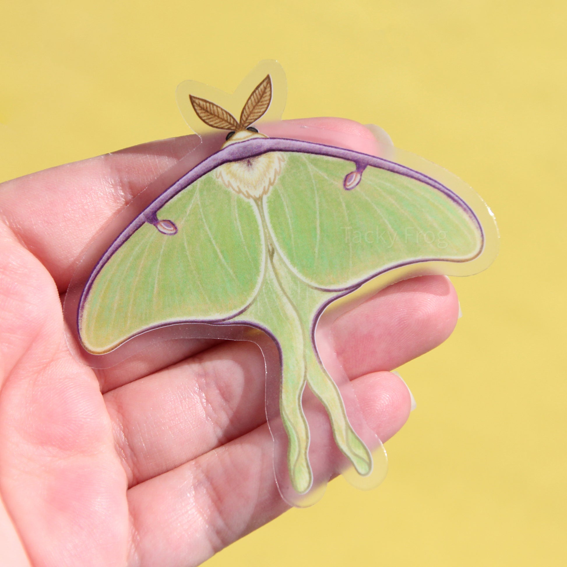 A clear vinyl sticker of a luna moth.