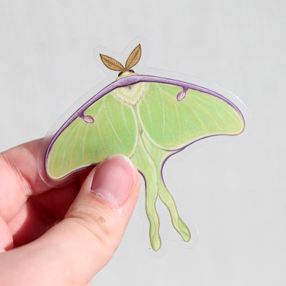 Another view of the clear vinyl sticker of a luna moth.