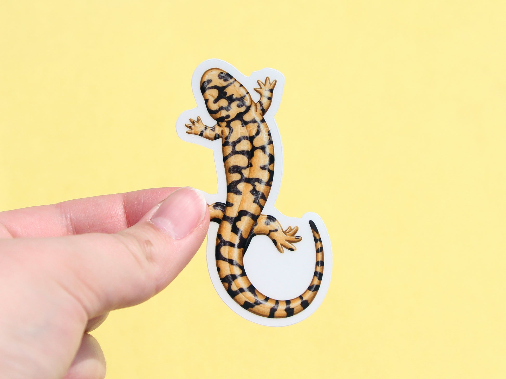 The salamander clear vinyl sticker with the white paper backing still on.