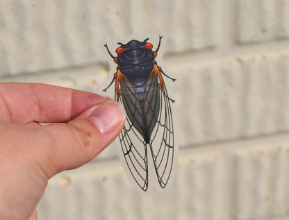 The red-eyed cicada clear vinyl sticker held in front of a brick wall.