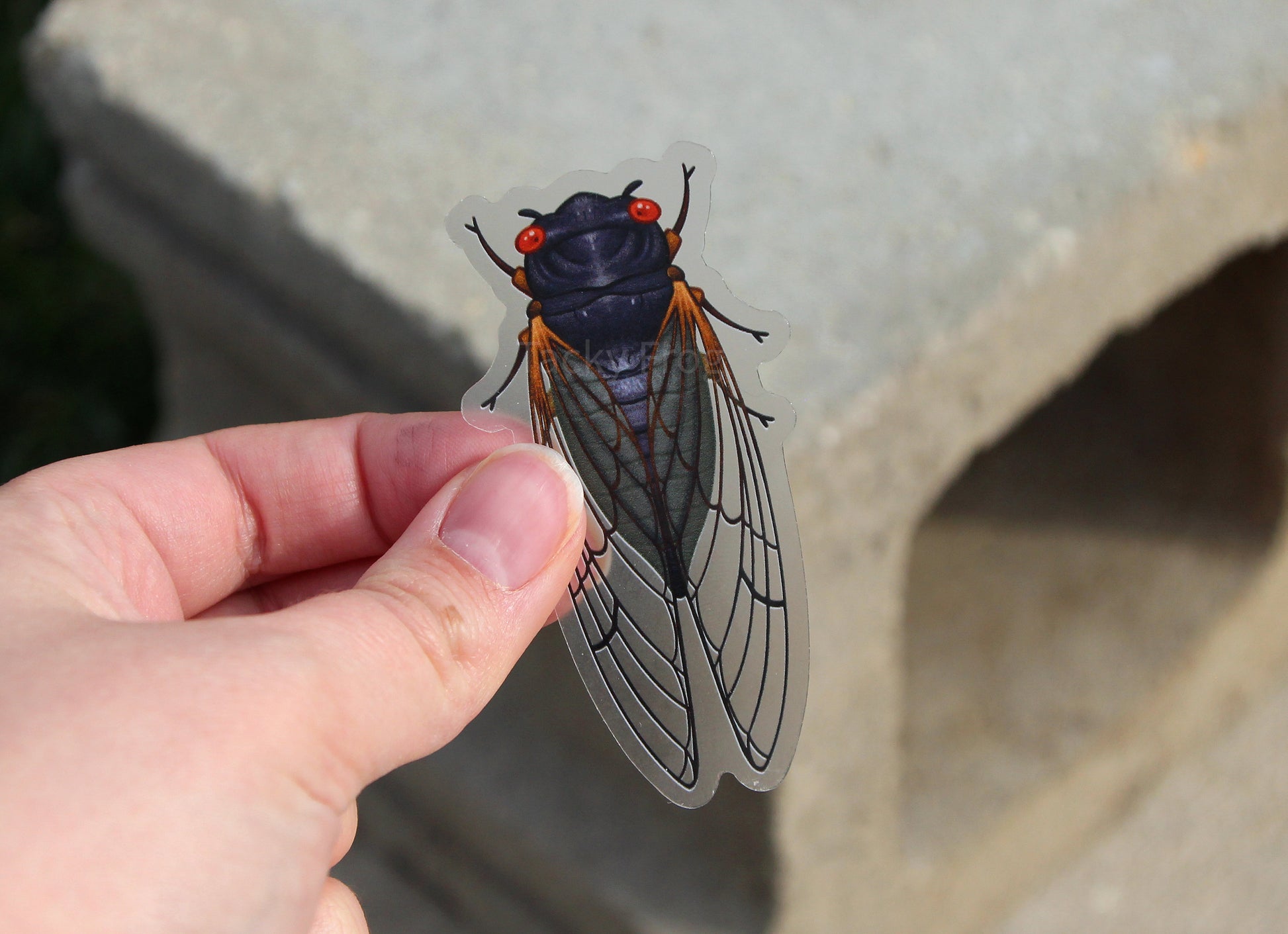 The red-eyed cicada clear vinyl sticker held in front of a brick.