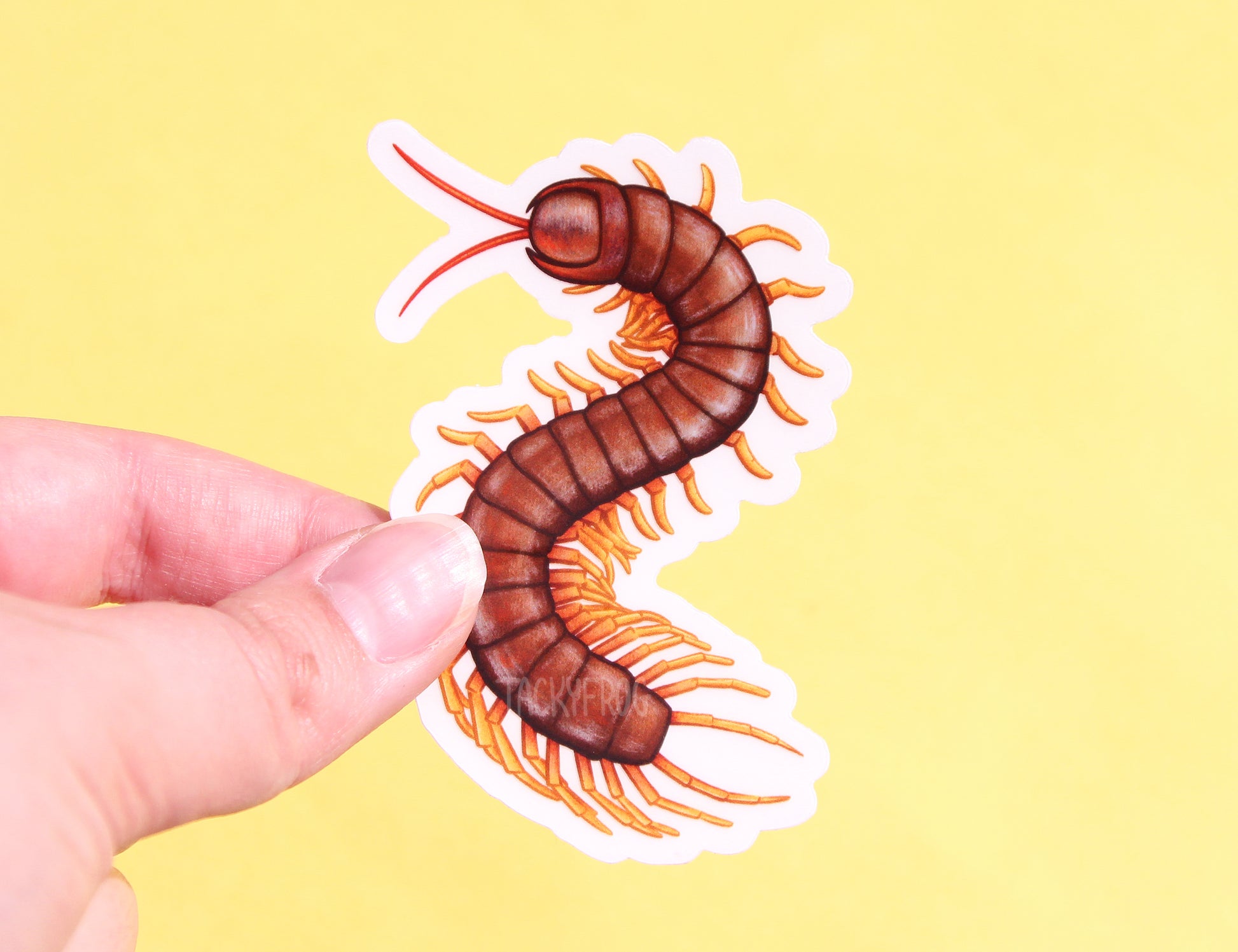 The centipede clear vinyl sticker with the white paper backing still on.