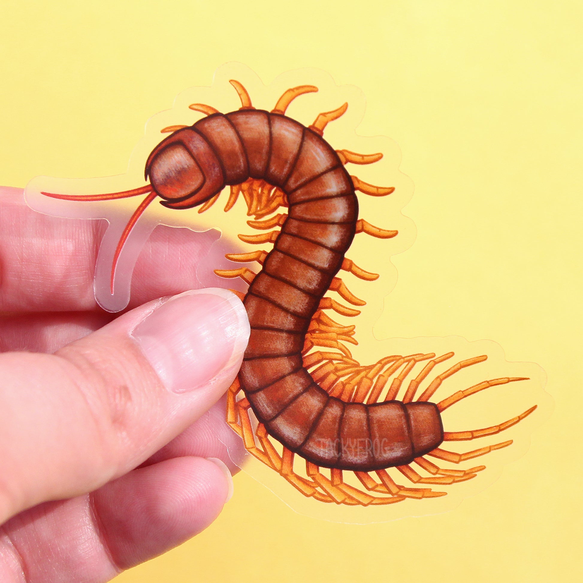 A clear vinyl sticker of a brown centipede.