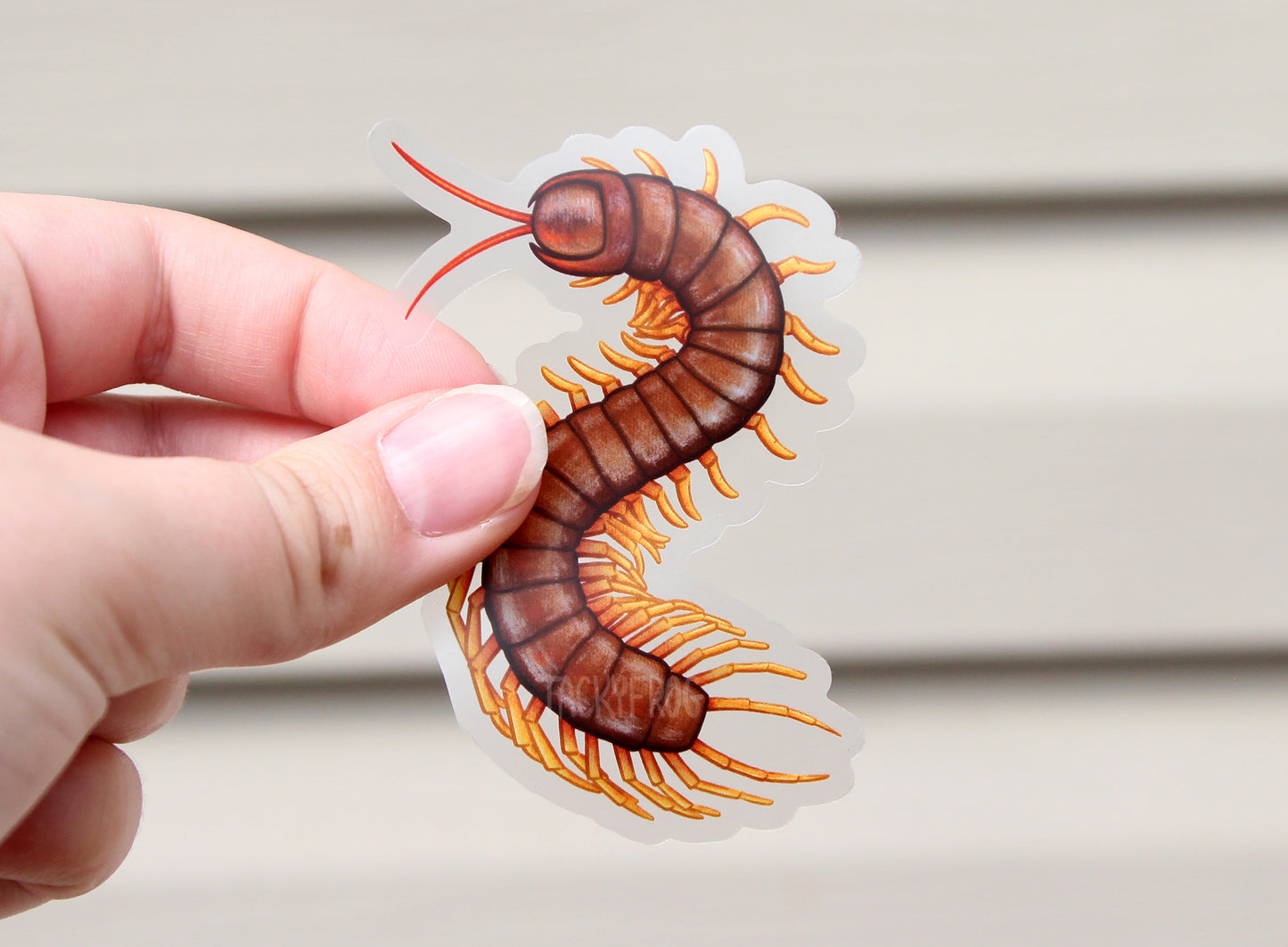 Another view of the centipede clear vinyl sticker in different lighting.