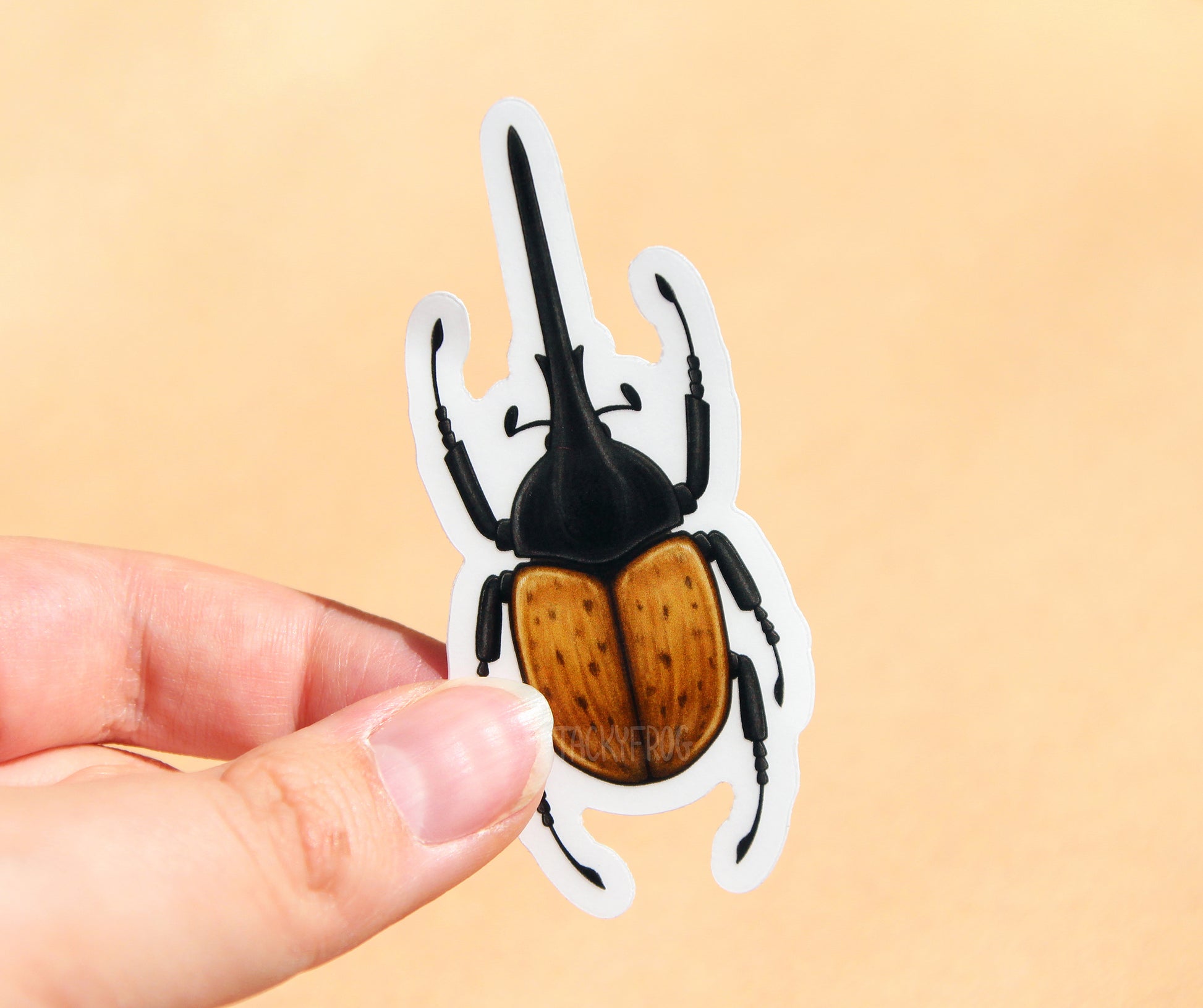 The Hercules beetle clear vinyl sticker with the white paper backing still on.