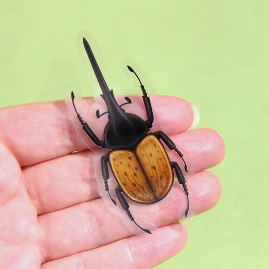 A clear vinyl sticker of a Hercules beetle.