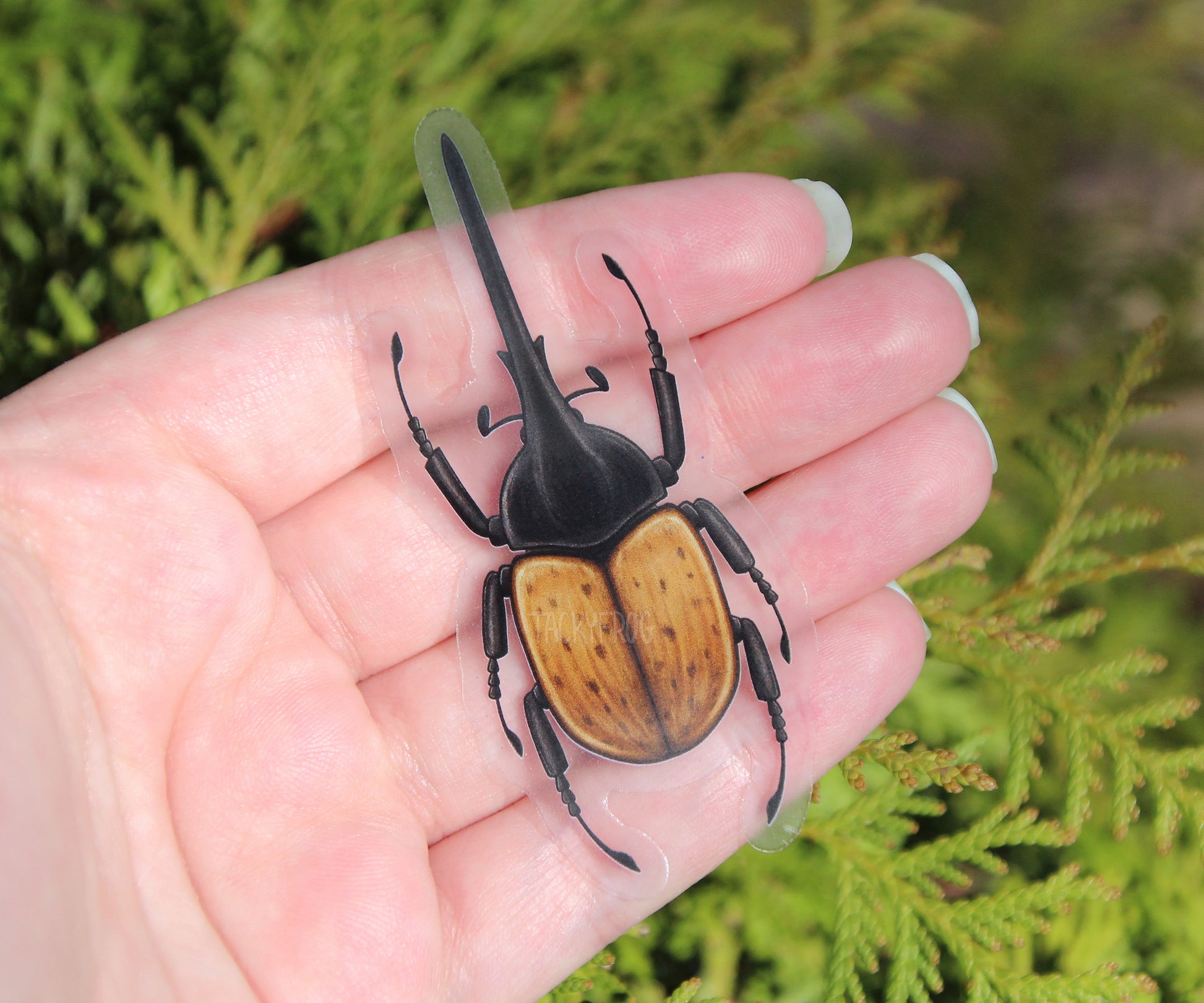 Another view of the Hercules beetle clear vinyl sticker.