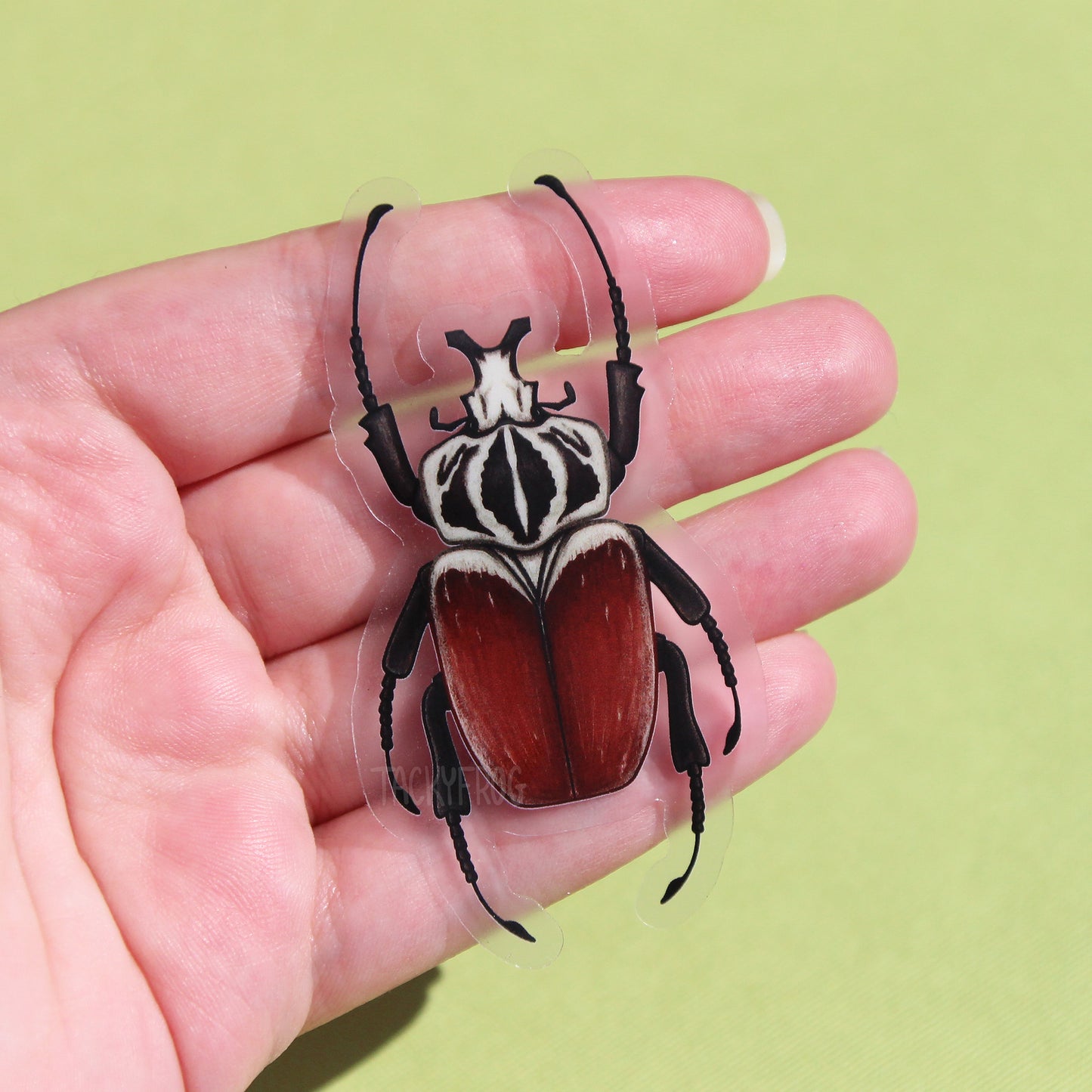 A Goliath beetle clear vinyl sticker held in a hand.