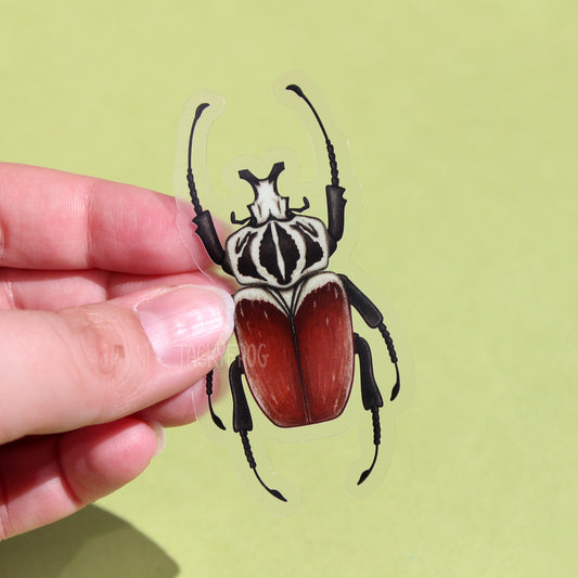 A clear vinyl sticker of a Goliath beetle.