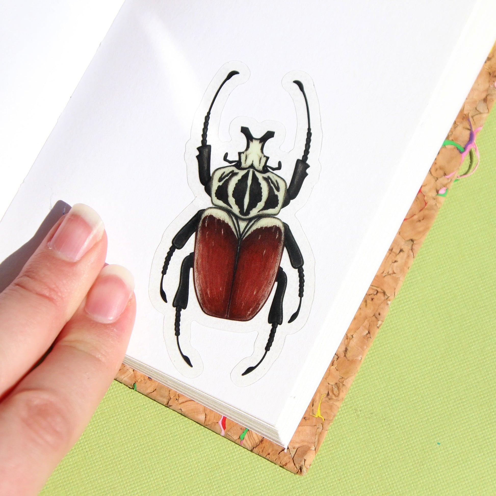 A clear vinyl sticker of a Goliath beetle placed in a sketchbook.