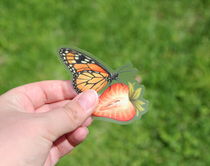 The monarch butterfly on strawberry sticker held in front of the grass.