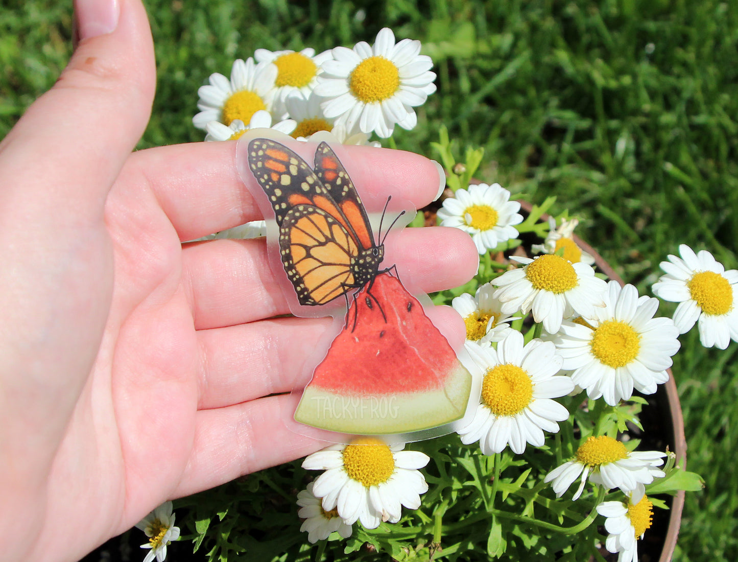 The monarch butterfly on a watermelon slice clear sticker held above some flowers.