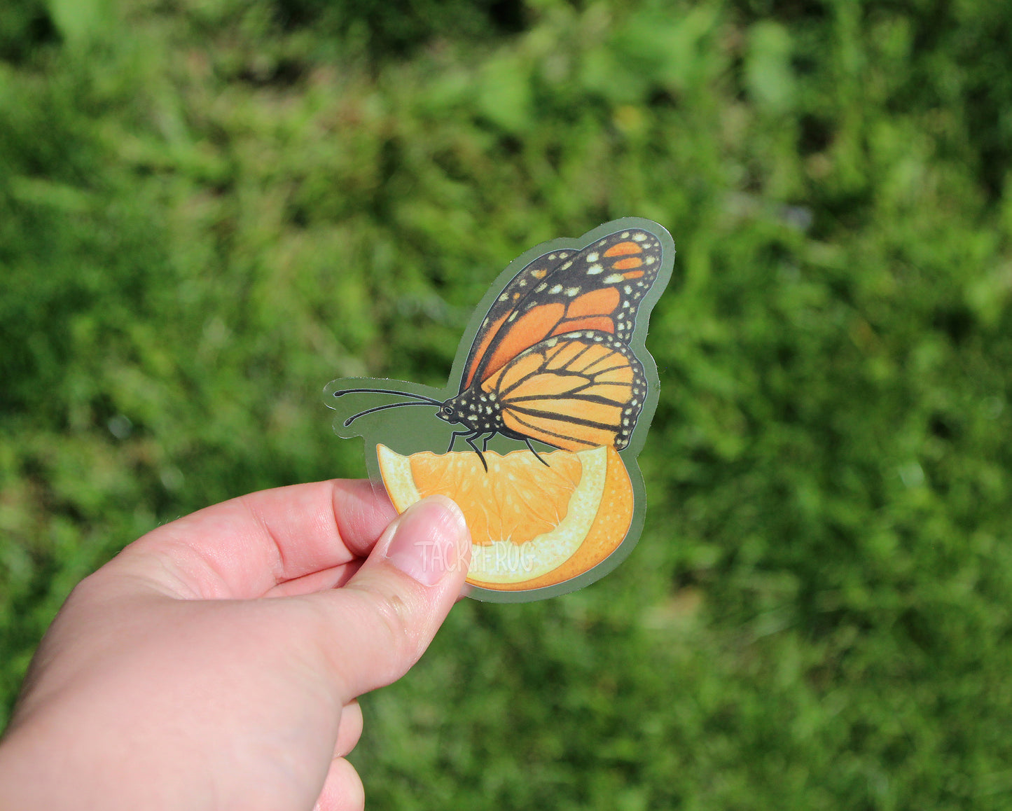 Another view of the clear vinyl sticker of a monarch butterfly on a lemon slice