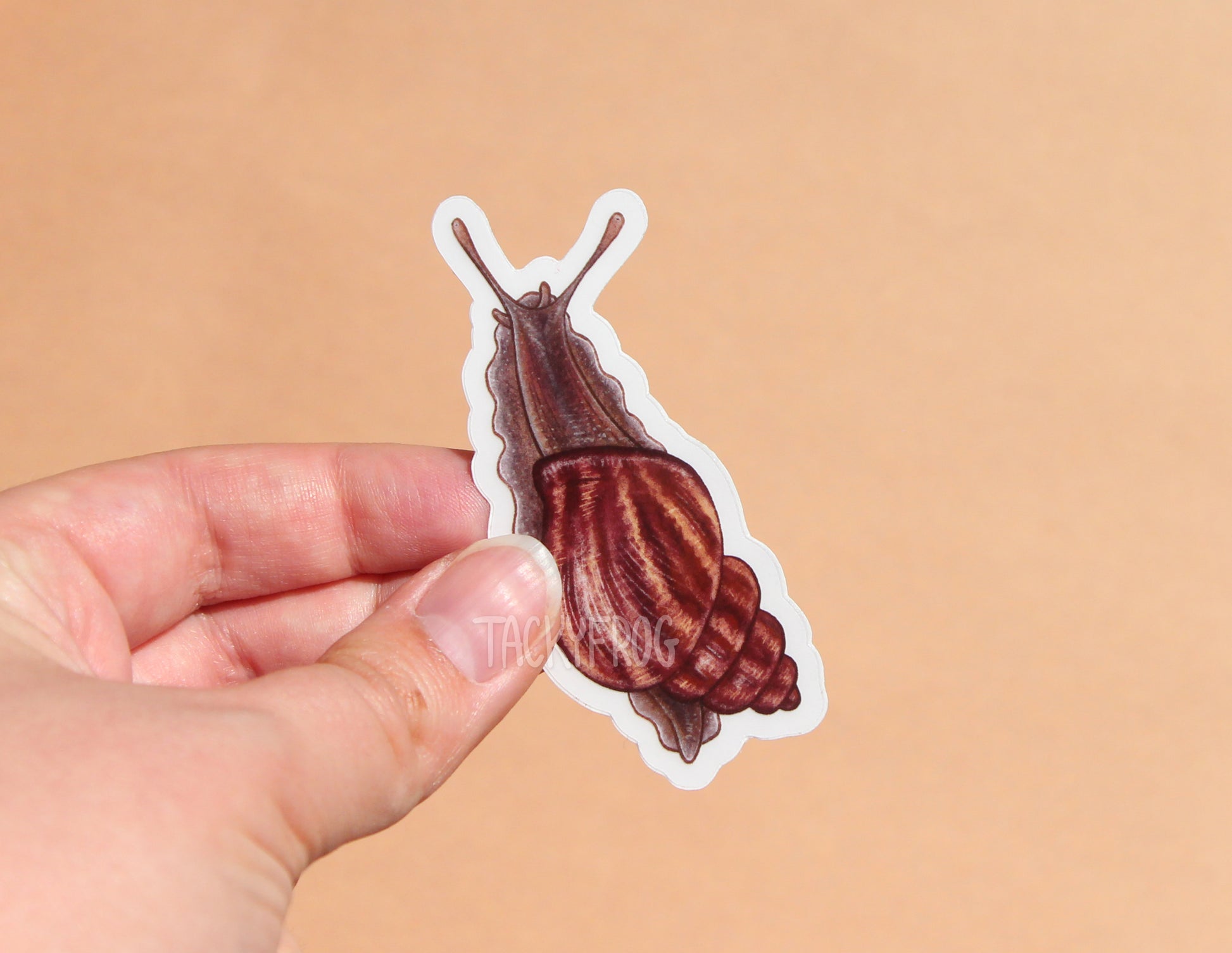 The rust-colored striped snail sticker with the white paper backing still on.