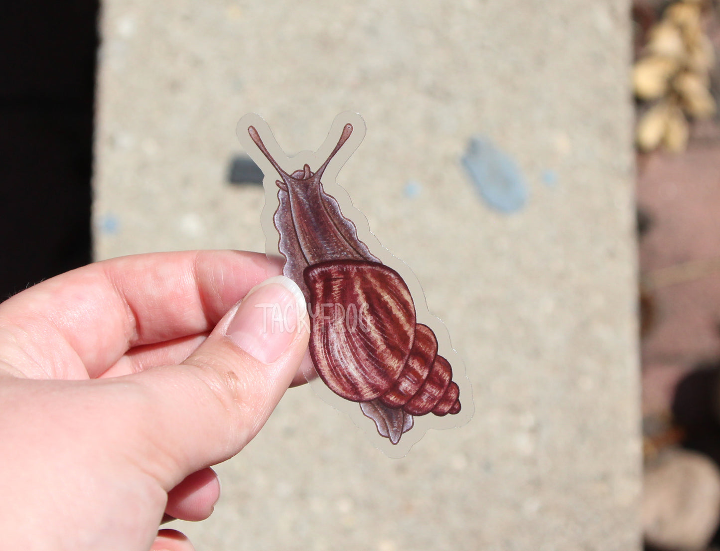 Another view of the rust-colored clear snail sticker held over a stone brick.