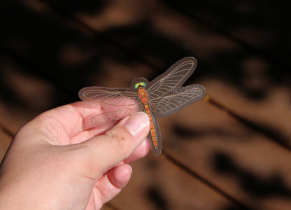 A clear vinyl sticker of an orange dragonfly.