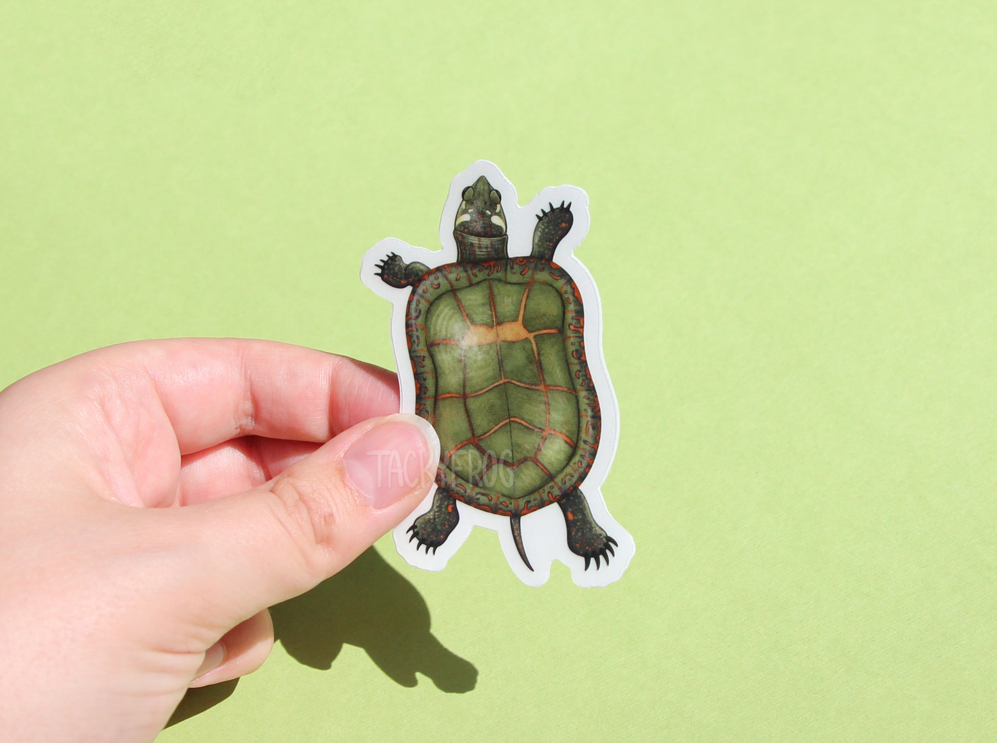 The painted turtle clear vinyl sticker with the white paper backing still on.