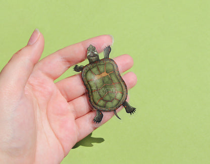 A clear vinyl sticker of a painted turtle held in a hand.