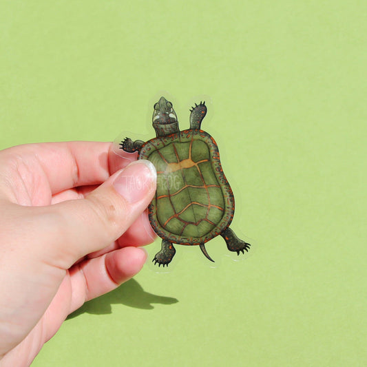 A clear vinyl sticker of a painted turtle.