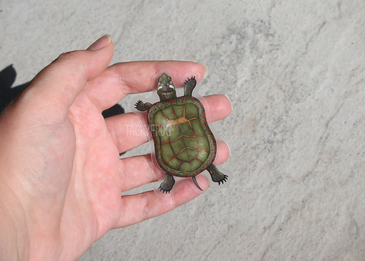  The painted turtle clear vinyl sticker held over some stone.