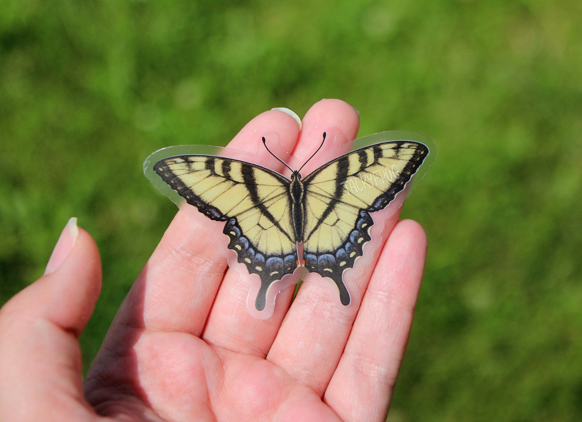 The yellow swallowtail butterfly clear vinyl sticker held in a hand.