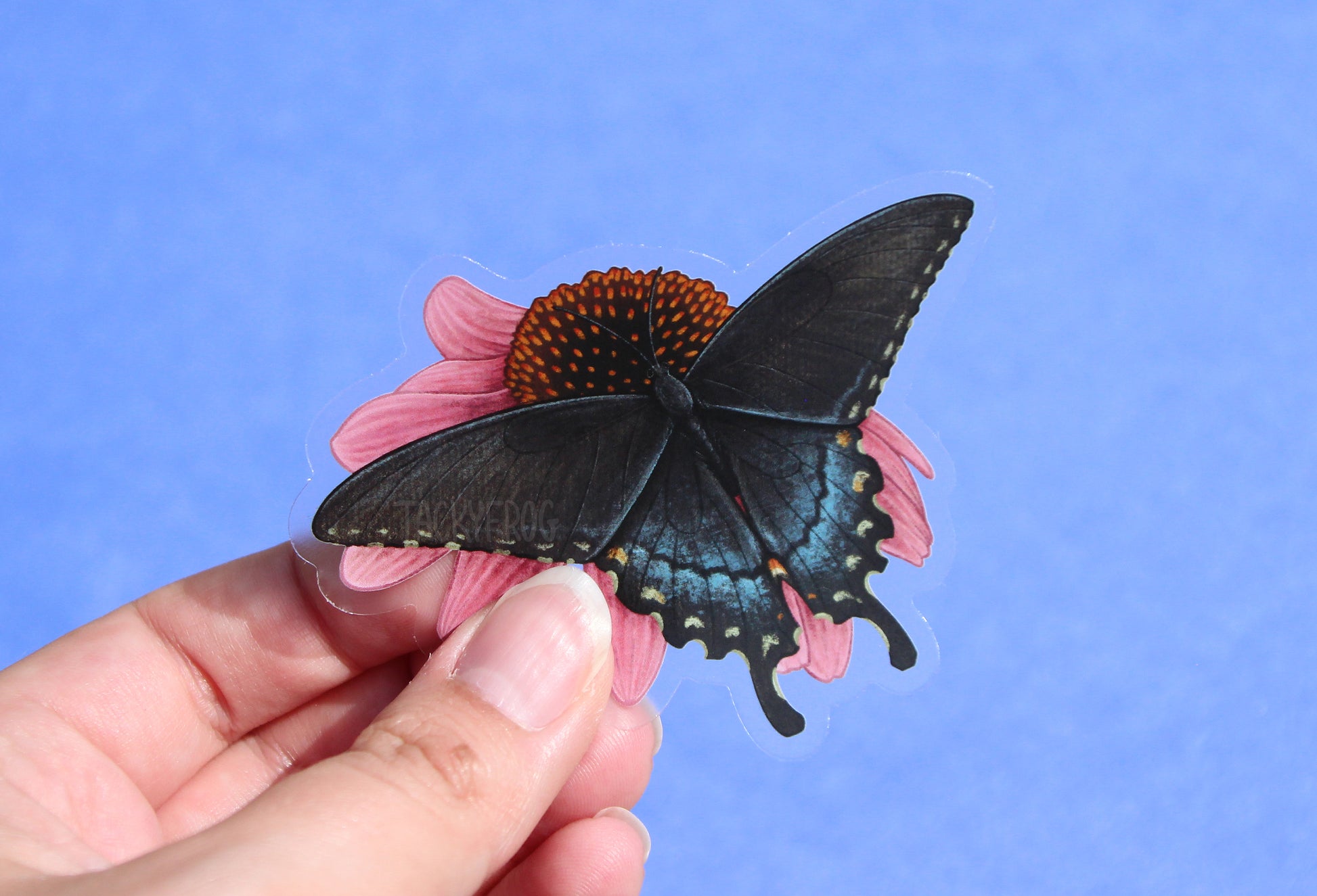 The swallowtail butterfly on coneflower sticker in front of a blue background.